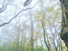 平標山の紅葉ハイキング