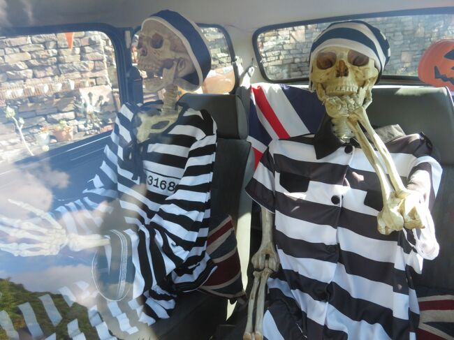 神戸レッサーパンダ コアラ遠征21秋 ２ イングランドの丘と神戸どうぶつ王国と王子動物園いろいろ 動物園でグッズの買い物 神戸みやげ 淡路島 兵庫県 の旅行記 ブログ By まみさん フォートラベル