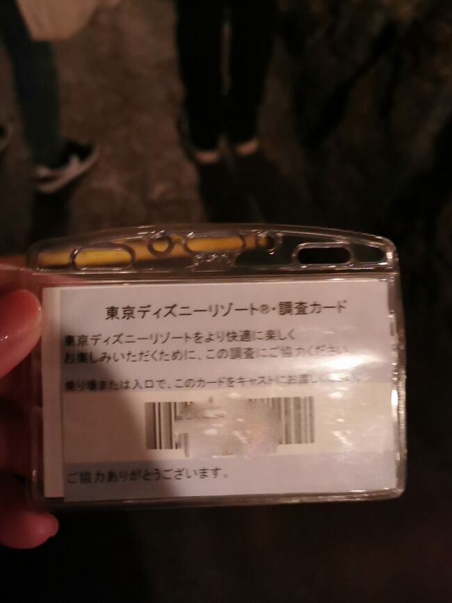 周年のディズニーシーにピーチで日帰り 初一人インパ 東京ディズニーリゾート 千葉県 の旅行記 ブログ By タテさん フォートラベル