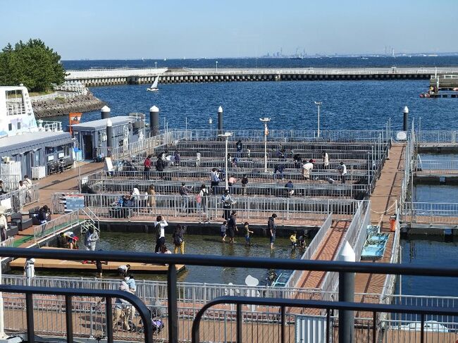 休日の八景島シーパラダイス 水族館 は なんと超満員でびっくりです 八景島 神奈川県 の旅行記 ブログ By Masamimさん フォートラベル