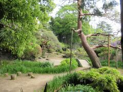 牛島の藤 (藤花園)の庭園