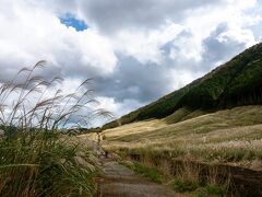 今日まずはホテルからすぐの仙石原のすすき。
昨日ほどスカッと晴れてなくてだいぶ感じ違いますね。