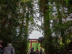 さて最後は箱根神社に。

