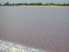 うーん、イマイチピンクか足りない
ちなみにココはレイク湖でも無くて
本来は、塩の為の塩田だそうです！