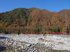 紅葉の色づきが進み、ちょうど見頃を迎えています。