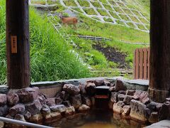 朝風呂中に鹿と遭遇！