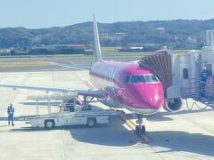 はじめてのFDA&#9992;️
フーシャピンクの機体がかわいい！
CAさんがとても親切で、「鳥取砂丘が見えますよ」とか色々教えてくれて嬉しかったなあ。
　
短いフライトだけど窓から景色が楽しめて、満足！！！
　
空港からレンタカーを借りて一路、美保神社を目指します。
北国から山陰に来たもんだからとても暖かく感じる～。
天気にも恵まれて幸先がいい◎うれしい！
　
宍道湖、ベタ踏み坂を通って到着しました！！