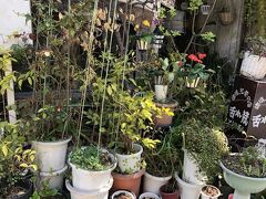 まず訪れたのは、元町にある喫茶店「舌れ梵」。

お店の前も、まあまあ鉢植えでいっぱいですが・・・・