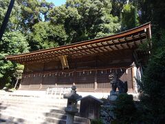 宇治上神社（本殿）（本殿は現存する日本最古の神社建築で、平安時代後期に建てられた。国宝で一間社流造りの内殿３棟を覆屋が囲んでいます。）応神天皇・仁徳天皇等の３柱を祀る。