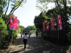 阪急の山田駅から歩いて万博記念公園の自然文化園の西口で入場券を購入して、開園の9：30に入場です。西口の入場口には開場を待ってる方が結構いらっしゃいました