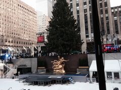 ロックフェラー・センターのクリスマスツリーが準備されていました。
数日後に点灯するとのことですが、そのころには私たちはボストンに行ってしまっています。少し残念です；