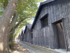 時間に限りがあるので、とりあえず酒田1番の観光地、山居倉庫へ。
自転車で駅から12～13分かかりました。

ケヤキ並木に12棟の倉庫が並んでいます。