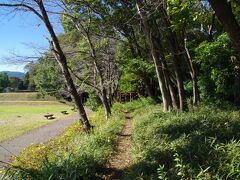 鉢形城の城山稲荷神社　二の曲輪（くるわ）と繋がっています。