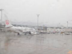 雨の伊丹空港です