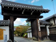 初めにやって来たのは天龍寺。