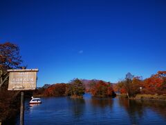 大沼へ移動して紅葉散策。