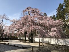 醍醐寺