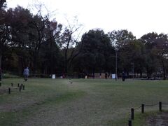 新宿中央公園　沢山の人がラジオ体操をしていた。