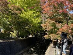 小さな川の両側にかえでの木が植えてあります。残念ながらまだ紅葉してませんでした。