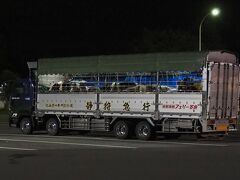 そして帰路、東名高速の鮎沢SAにて見かけた、現代版のドナドナ。先程、牛肉をたくさん食べた後なだけに、何とも罪悪感の拭えぬ空気となりました。。