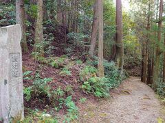 鳥居の奥はこんな雰囲気です(^^)

この先には「猪鼻王子」や「船玉神社」があるようですが、今回はパスしました(^_^;)

次の目的地「水呑王子」に向かいましょう…