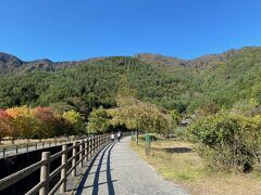 西湖での目的地はいやしの里根場

案内標識もあり、駐車場も広く設置されています。
コロナ前は観光バスも多く立ち寄ったと思われます。

駐車場からいやしの里の展示エリアは平たんな道を徒歩約5分