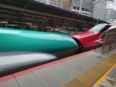 東北への旅の起点は東京駅。

東北新幹線の緑のはやぶさ号と秋田新幹線の赤いこまちがドッキングした、長～い新幹線。はやぶさ10両こまち5両の全15両編成。

私たちは赤いこまちに乗り込みます。
間違えてはやぶさに乗ってしまわないよう、慎重に確認して。。。　
秋田新幹線のこまちは、盛岡までははやぶさと一緒に走り、盛岡で切り離された後、秋田へ向かうんです。はやぶさはそのまま北上。

私たちが目指すのは、秋田新幹線の田沢湖駅。
