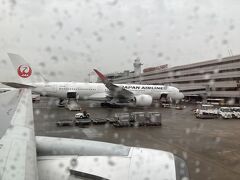 羽田空港は雨でした。
隣には最新のA350 12号機がいました。