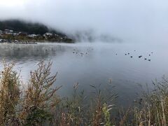 早朝からの散歩で河口湖から靄が出てます。