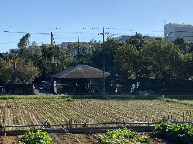 田んぼの向こうに寺家乃鰻寮・・ぐるっと回ってやっとここまで戻ってきました。