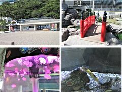 ◆桂浜水族館◆
高知駅10:00発→10:52桂浜、桂浜水族館（9:00～17:00(所要2時間半)→桂浜13:30→牧野植物園正門前14:01、植物園(所要1時間)竹林時前15:03⇒高知駅15:31

桂浜バス停下車、桂浜水族館へ。小さな古い水族館で空いている・・
はりまや橋でなく、かつらや橋があります。
美しいクラゲ、チンアナゴにキッズが喜ぶ。