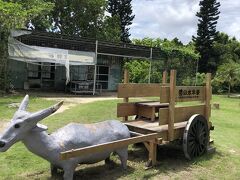 亜熱帯植物楽園由布島