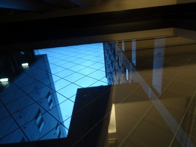 カーテンを開けました　はい囲まれてます