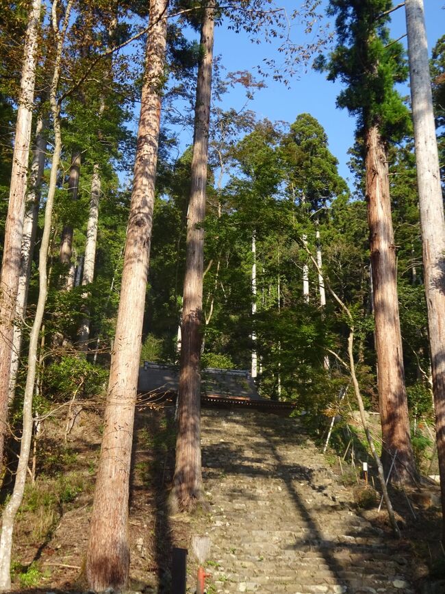 21年11月京都 7 紅葉少し前の三尾 高山寺 西明寺 神護寺 仁和寺 妙心寺 各塔頭 広隆寺 嵐山 車折神社 法輪寺 を歩きます 嵐山 嵯峨野 太秦 桂 京都 の旅行記 ブログ By 愛猫シロネコさん フォートラベル