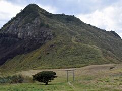 秋の大野亀は色がじみでした。