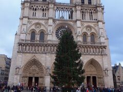 ノートルダム大聖堂　クリスマスツリーが飾られています。
(Cathédrale Notre-Dame de Paris)