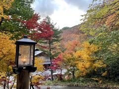 今夜の宿『ランプの宿青荷温泉』が見えてきました
周りの紅葉も綺麗です