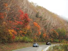 ただ後ろに見えるスカイライン沿いの紅葉は見事でした。