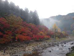 香嵐渓 もみじのトンネル