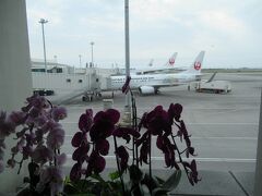 16時過ぎに沖縄に到着。
沖縄の空港らしい花のあるボーディングブリッジが出迎えてくれます。