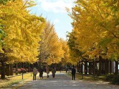 中島公園