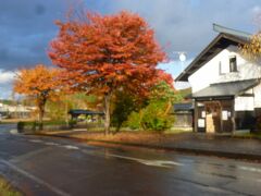 駅の観光協会。やっぱり紅葉が美しい。
雨上がりで気持ちいいです。

寒くはなかったです。