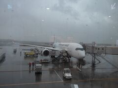 羽田から搭乗してきたJAL515便
雨模様の新千歳空港です