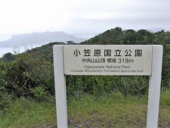 父島最高峰、中央山に登りました。