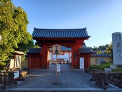 橿原神宮から西ノ京まで、乗り換えなしで行ける電車に乗れたので、予定を変更して薬師寺に到着！
15:40に入り、17時まで見学。