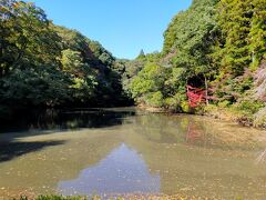 不老池というネーミング・・