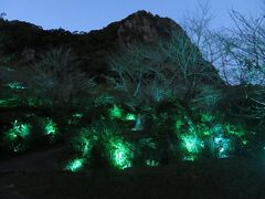 春は桜やツツジ、秋は紅葉の名所でもある御船山楽園において、2021年7月16日～11月7日の日程で開催されていた「チームラボ かみさまがすまう森」を鑑賞。園内の自然や構築物を生かし、テクノロジーを駆使した光によって表現される夜間限定のデジタルアート。