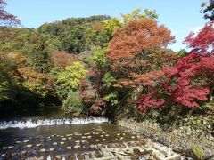 叡山電車で八瀬比叡山口に到着しました。
駅のそばの高野川べりの紅葉です。