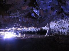 飛騨大鍾乳洞・・・数万年かけて自然が創った神秘の世界感じるスポット

国内の鍾乳洞の中では最も高い、標高900mに位置する鍾乳洞

全長約800mあり、見学の所要時間は約20～30分

白くて微細な鍾乳石やねじれて曲がるヘリクタイト（ねじれ石）は必見

まずは大橋コレクション館で、飛騨大鍾乳洞の発見者である大橋外吉氏が集めた世界の美術品・装飾品約1000点の展示見てから出発

出口が3か所あり、平坦で見どころ満載な第1洞のみ見て出られる第1出口

その後だんだん急な階段や狭い通路になる、第2洞、第3洞へ続き、その都度第2出口、第3出口が設けられています

ちょっとした地下探検気分で洞窟体験楽しめ、意外にハード

洞内の通年平均気温は12℃で、湿度が高く、歩きやすい靴と服装がおススメです