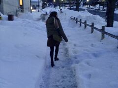 ベイエリア地区から、二十間坂を上がり、函館山ロープウェーの乗り場を目指しました。

妻は初めての雪と、行き道なので歩くのが難儀のようでした。
